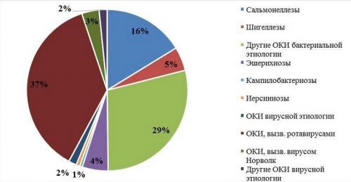 Кишечные инфекции -- это. Общие сведения