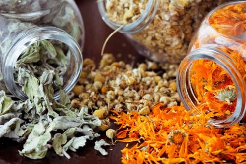 Как избавиться от герпеса на губах. Герпес на губах: причины возникновения 01