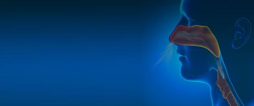 Слизь в горле и носу с неприятным запахом. Общие сведения 01 Слизь в горле и носу с неприятным запахом. Общие сведения 01