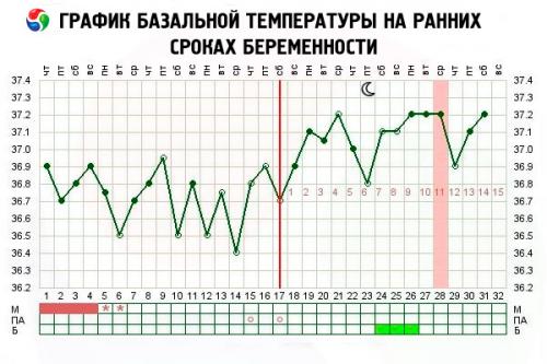 Базальная температура при беременности. Базальная температура при планировании беременности 06