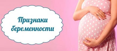 Базальная температура при беременности. Базальная температура при планировании беременности 05