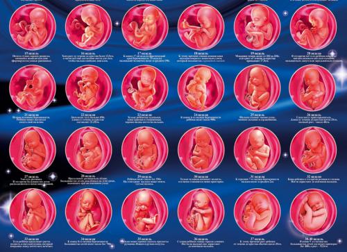 Какая в норме базальная температура. Какая базальная температура перед месячными – норма 10 Какая в норме базальная температура. Какая базальная температура перед месячными – норма 10