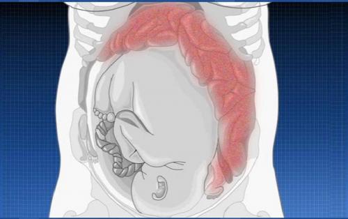 Какая в норме базальная температура. Какая базальная температура перед месячными – норма 08 Какая в норме базальная температура. Какая базальная температура перед месячными – норма 08