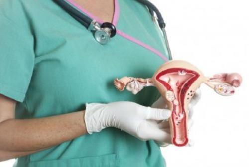 Какая в норме базальная температура. Какая базальная температура перед месячными – норма 04 Какая в норме базальная температура. Какая базальная температура перед месячными – норма 04