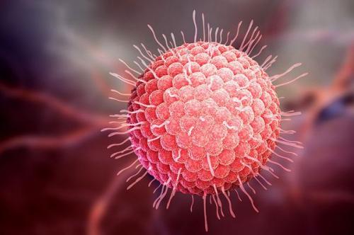 Болячка в носу простуда. Патогенез острого ринита 07 Болячка в носу простуда. Патогенез острого ринита 07