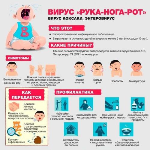 Вирус Коксаки комаровский. Как лечить вирус Коксаки у детей: советы доктора Комаровского