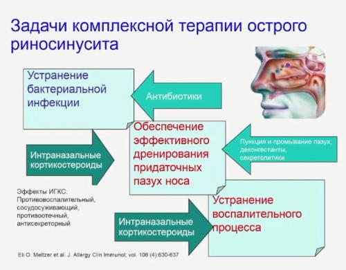 Какие лекарства могут быть использованы для лечения острого ринита и риносинусита. Современные стандарты лечения синуситов (гайморитов). Лекция для врачей