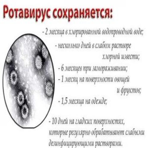 Профилактика кишечных инфекций перед поездкой на море. Способы заражения