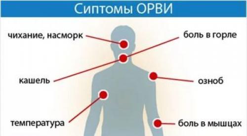 Температура при ОРВИ у взрослых. Подготовка к посещению/визиту врача 01