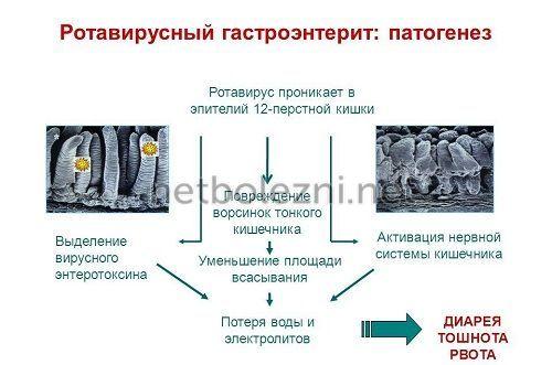 Ротавирусная инфекция на курортах. Способы заражения 04