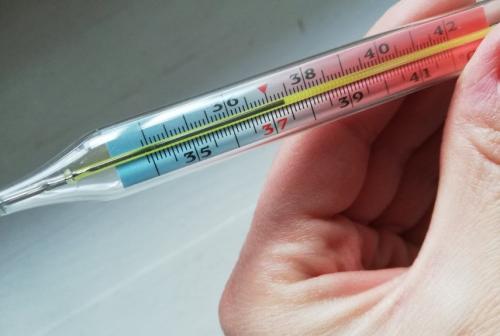 Субфебрильная температура длительное время.. Причины длительной субфебрильной температуры 03