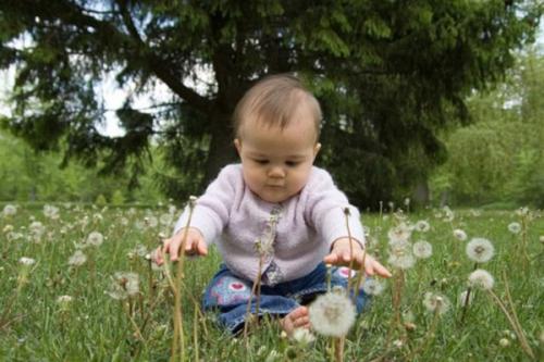 Как убрать сопли у новорожденного комаровский. Классификация насморка