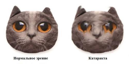 Самостоятельные способы лечения в домашних условиях. Способы самостоятельного выхода из запоя 01