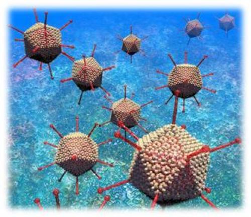 Инфекция нижних дыхательных путей. ИНФЕКЦИИ НИЖНИХ ДЫХАТЕЛЬНЫХ ПУТЕЙ 04 Инфекция нижних дыхательных путей. ИНФЕКЦИИ НИЖНИХ ДЫХАТЕЛЬНЫХ ПУТЕЙ 04