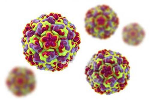 Инфекция нижних дыхательных путей. ИНФЕКЦИИ НИЖНИХ ДЫХАТЕЛЬНЫХ ПУТЕЙ 03 Инфекция нижних дыхательных путей. ИНФЕКЦИИ НИЖНИХ ДЫХАТЕЛЬНЫХ ПУТЕЙ 03