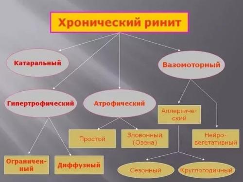 Желтые корки в носу лечение. Хронический ринит