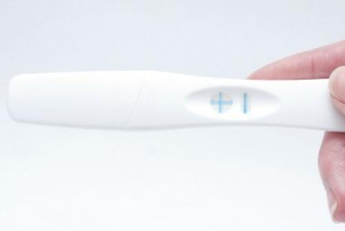 Как правильно измерять базальную температуру в прямой кишке. Как измерить базальную температуру для определения овуляции и беременности? 08