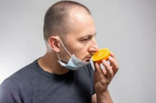 Без обоняния: как справиться с потерей чувства в носу 01