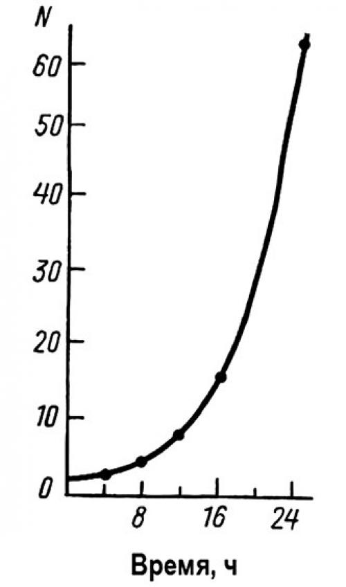 Постковидный синдром: проблемы и решения для врачей-оториноларингологов 04