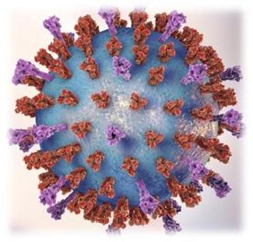 Лечение инфекций верхних дыхательных путей: основные принципы и подходы 01 Лечение инфекций верхних дыхательных путей: основные принципы и подходы 01