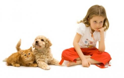 Как справиться с аллергией во время беременности. Аллергия во время беременности 01 Как справиться с аллергией во время беременности. Аллергия во время беременности 01