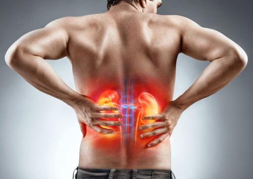 Задержка жидкости в организме. Вода организма 01 Задержка жидкости в организме. Вода организма 01