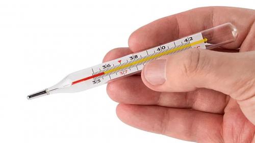 Как поднять температуру тела д. Как поднять температуру народными средствами