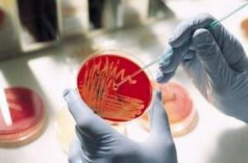 Можно ли вылечить запущенный гайморит без прокола. Можно ли вылечить гайморит без прокола?