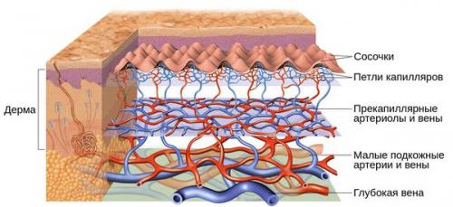 Как убрать покраснение носа после насморка. Симптомы экземы преддверия носа 02 Как убрать покраснение носа после насморка. Симптомы экземы преддверия носа 02